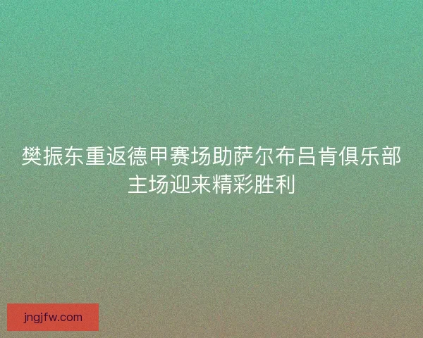 樊振东重返德甲赛场助萨尔布吕肯俱乐部主场迎来精彩胜利