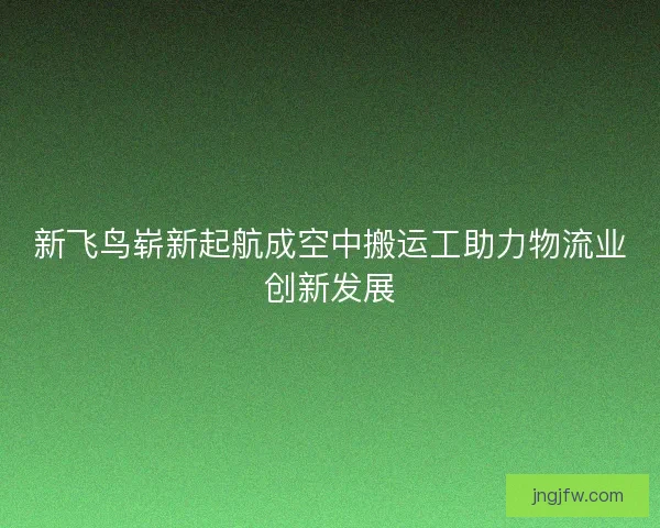 新飞鸟崭新起航成空中搬运工助力物流业创新发展